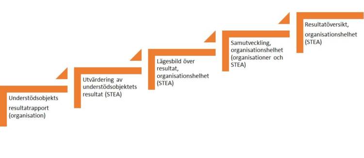 Organisationer skickar sina resultatrapporter till STEA. STEA förbereder en utvärdering av understödsobjektets resultat och betonar understödshelheters lägesbild som gäller verkamshetens resultat. Organisationer och STEA behandlar lägesbilden i samutvecklingstillfället. Efter detta STEA bearbetar en resultatöversikt av organisationshelheten.