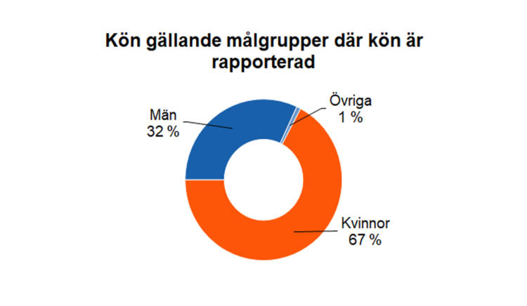 Kön gällande målgrupper där kön är rapporterad: kvinnor 67 %, män 32 % och övriga 1 %. 