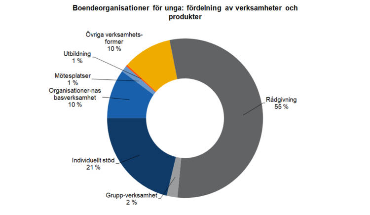 Boendeorganisationer för unga: fördelning av verksamheter och produkter: rådgivning 55 %, individuellt stöd 21 %, gruppverksamhet 2 %, organisationernas basverksamhet 10 %, övriga verksamhetsformer 10 %, utbildning 1 % och mötesplatser 1 %. 