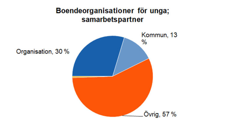 Boendeorganisationer för unga, samarbetspartner: organisation 30 %, kommun 13 % och övrig 57 %. 