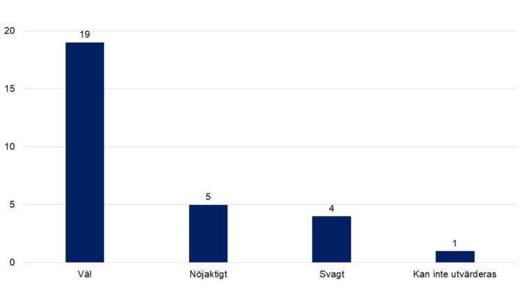 Väl 19, nöjaktigt 5, svagt 4, kan inte utvärderas 1. 