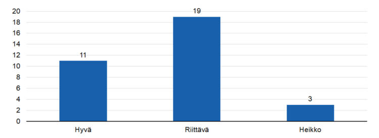 STEAn kokonaisarvio toiminnan tuloksellisuudesta: 
hyvä 11, 
riittävä 19, 
heikko 3. 